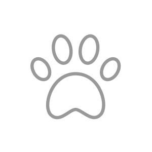 Paw icon