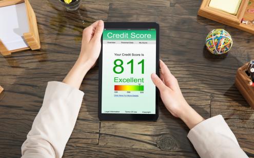 Soft pull credit check and consumer credit score